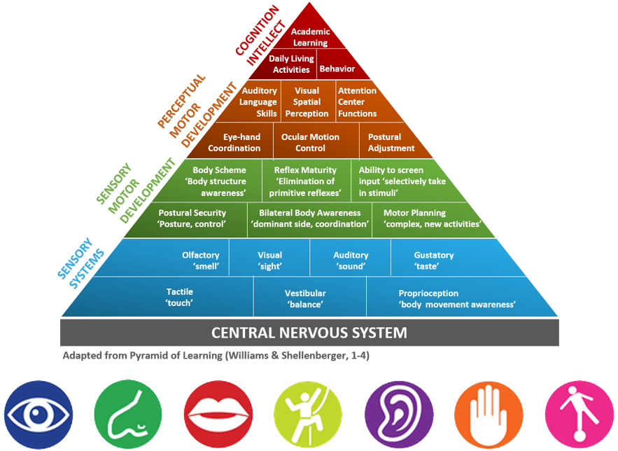 Sensory Processing – Autism Friendly HEI